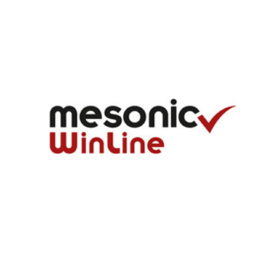 Mesonic